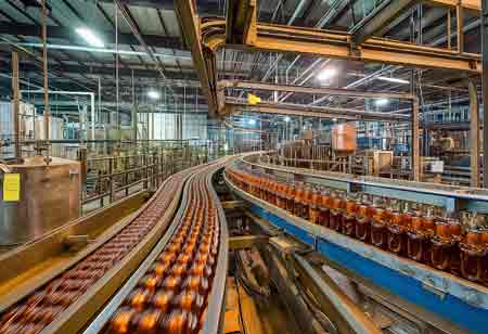 Sustainable Solutions for Future Food Production