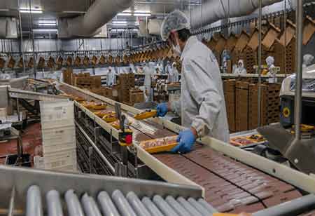 Journey from Farm to Table is a Vital Aspect of Wholesale Meat Production