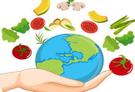 Navigating Food Import Challenges with Effective Solutions